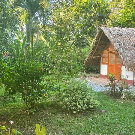 Cabanas Tucan Eco Hotel Capurganá エクステリア 写真