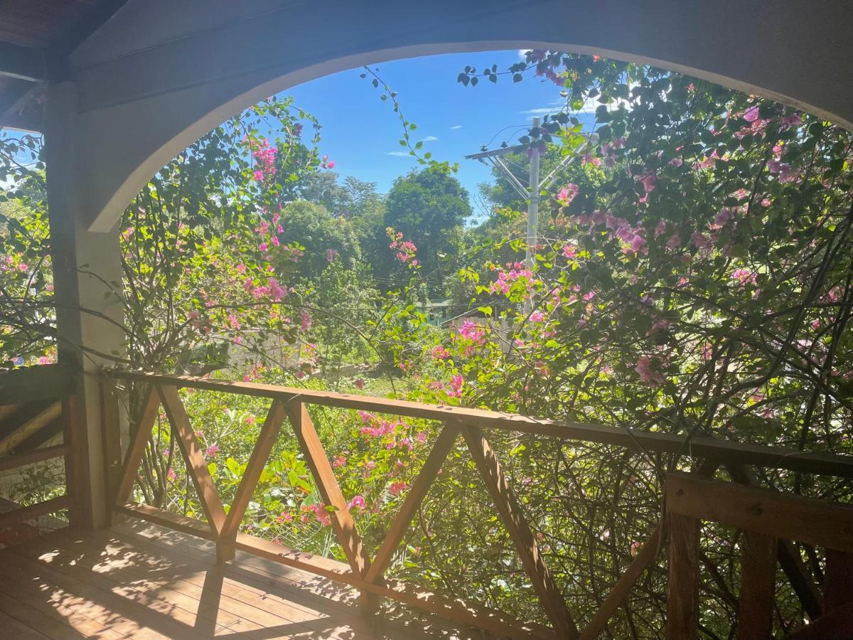 Cabanas Tucan Eco Hotel Capurganá エクステリア 写真