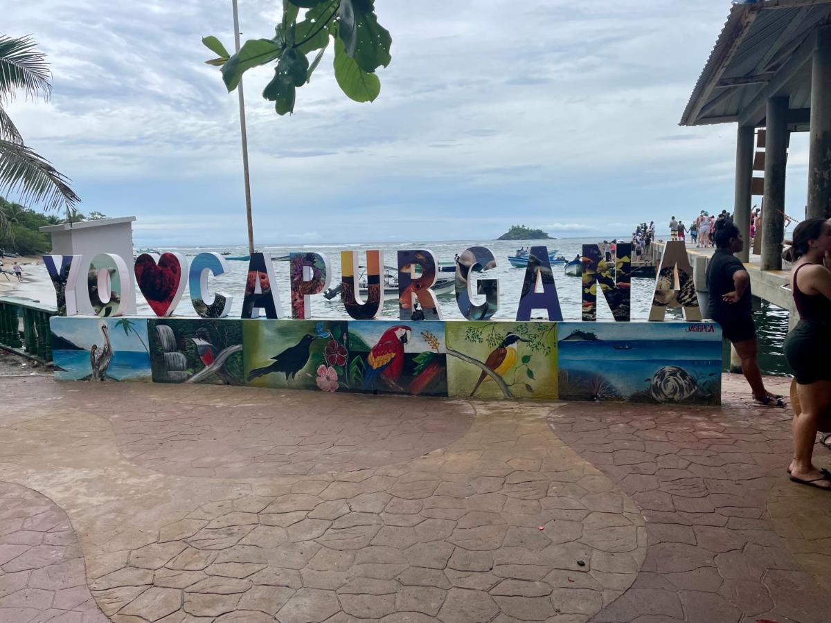 Cabanas Tucan Eco Hotel Capurganá エクステリア 写真