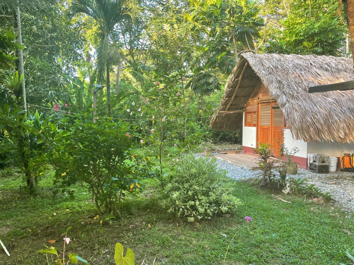 Cabanas Tucan Eco Hotel Capurganá エクステリア 写真