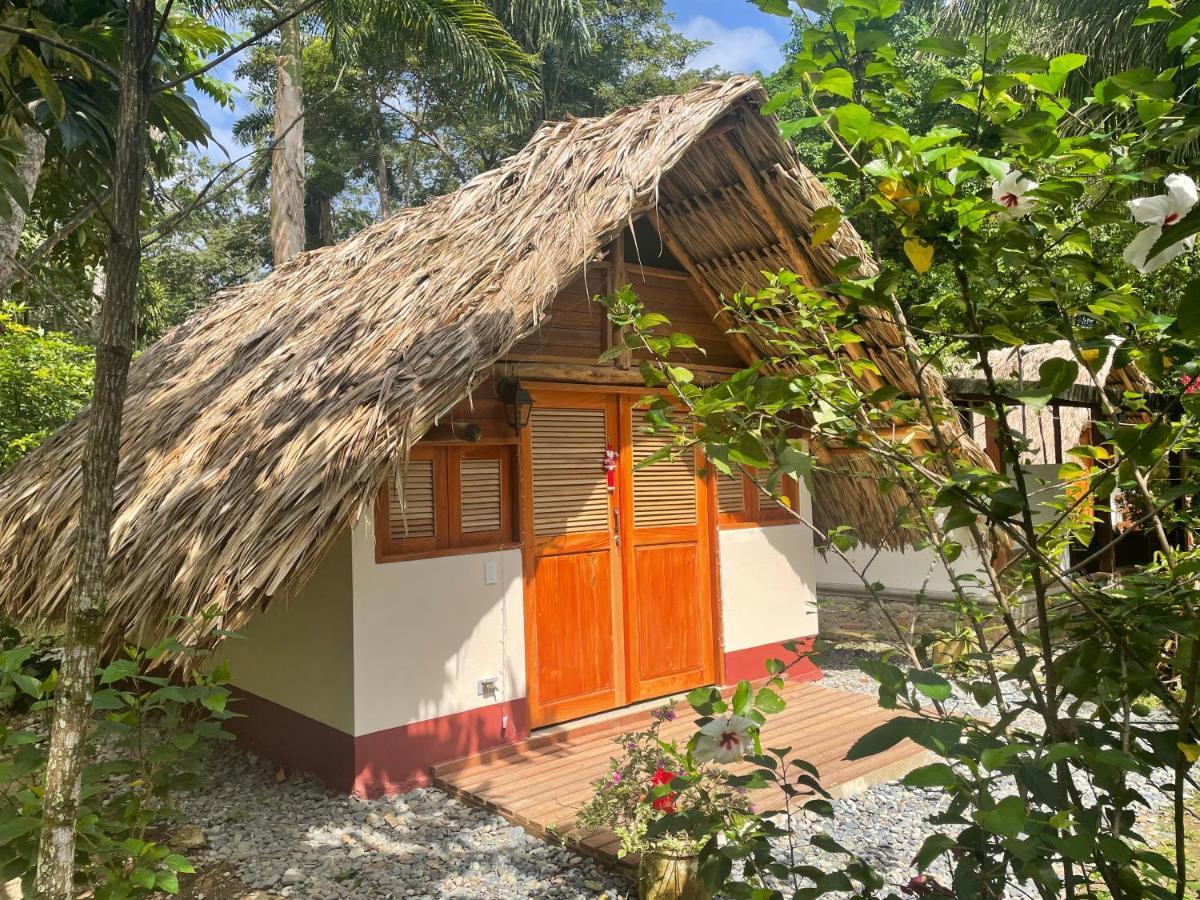 Cabanas Tucan Eco Hotel Capurganá エクステリア 写真