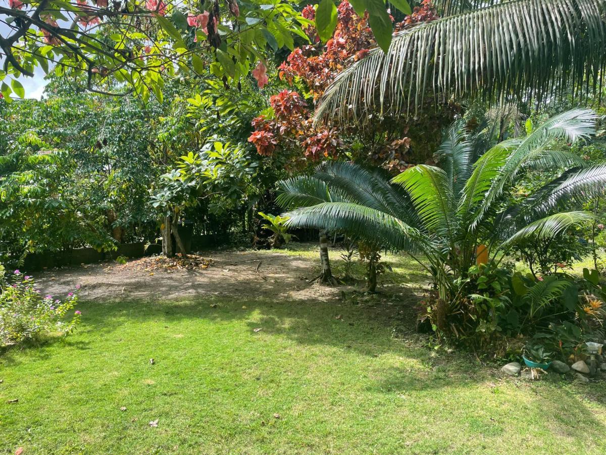 Cabanas Tucan Eco Hotel Capurganá エクステリア 写真