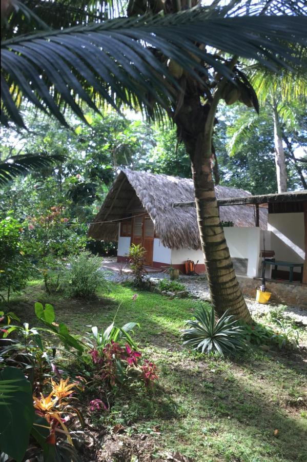 Cabanas Tucan Eco Hotel Capurganá エクステリア 写真